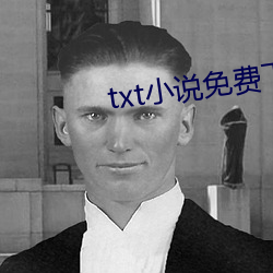 txt小(小)说(說)免费下载网