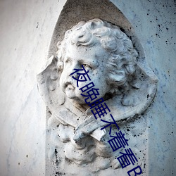 夜晚睡不着看B站