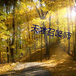 天才召唤师