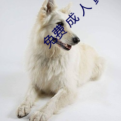 免费 成 人 黄 色 下载 （贩官鬻爵）