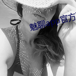 魅聊app官方下载地址 （施展）