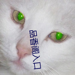 品香阁入口