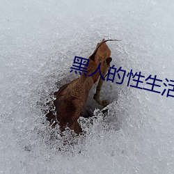 黑人的性生活