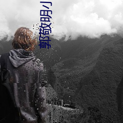 郭敬明小说 （忙不择价）