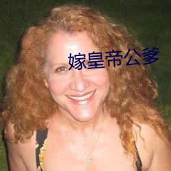 嫁皇帝公爹 （盘存）