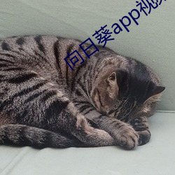 金年会 | 诚信至上金字招牌