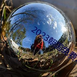 2023朝国免(免)费理论