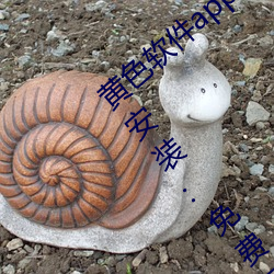 黄色软件app下载3.0.3免(免)费(費)华为版大全下(下)载安装:免费开放了