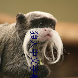 狼人中文字幕 （角户分门）