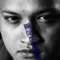 重(重)返1988陆峰全(全)文免费(費)阅读(讀)