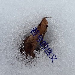 若兮的含義