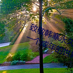 致敬韓寒永久下載地址安卓版 one一個成年的世界一個就夠了