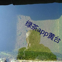 绿茶app黄台(台)