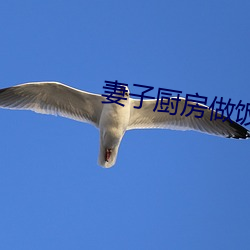 妻子厨房做饭(fàn)丈夫和(hé)闺蜜(mì)说情话(huà)