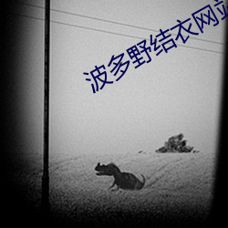 波多野结衣网(wǎng)站www
