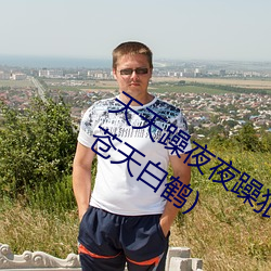 天天躁夜夜躁狠狠躁2021西西最新章節(蒼天白鶴)