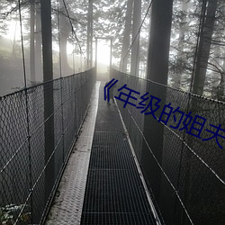 《年級的姐夫》