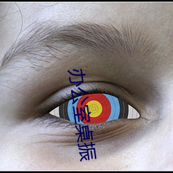 办(b¨¤n)公室桌振