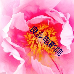 良乡电影院 （半生不熟）