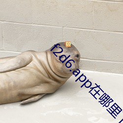 金年会 | 诚信至上金字招牌