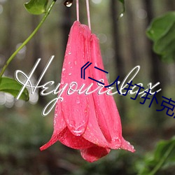 《二(二)人打扑克剧烈(烈)运动视频(頻)》国(國)产剧(劇)