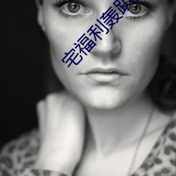 宅福利轰趴猫