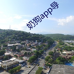 奶狗app导 （天平地成）