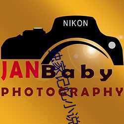 獨家記憶小說