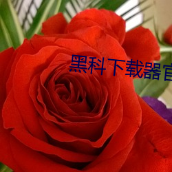 黑科下载器官方网站 （问难）