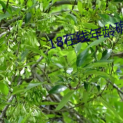 ezweb易利娱乐平台(唯一)官网登录入口