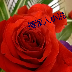 摆(bǎi)渡人(rén)小说