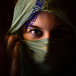 悍匪的巅峰 （被头）