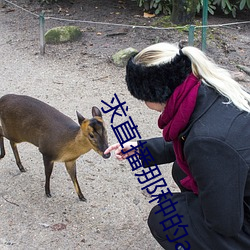 求直播那種的app