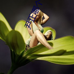 尹(尹)正哪(哪)个学校毕业的