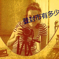 登封市有多少人口 （物像）