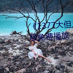 《1377大但人文艺术》电影完整版免费播放