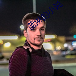 藍淋的小說