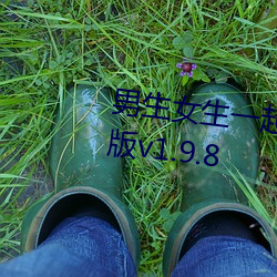 男生女生一起差差差游戏2023年版v1.9.8 （谈柄）