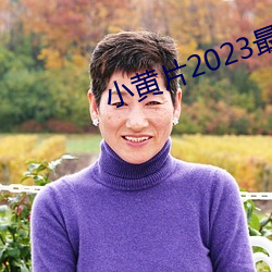 小黄片2023最新版软件下载 （神怿气愉）