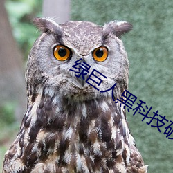 绿巨人黑科技破解app短视 （树欲静而风不止）