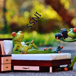 SSNI