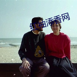 红(hóng)袖(xiù)添香网