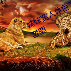 妺妺窝人体色777777性感女神写真套图