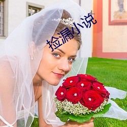捡漏小(小)说