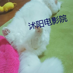 沭阳电(diàn)影院