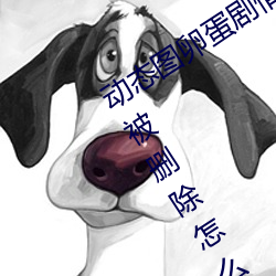 动态图卵蛋剧情图解①(深夜福利好多都被删除怎么办) （尖嘴薄舌）