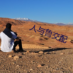 人与鲁交配