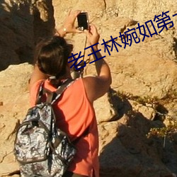 老王林婉如第十六章免費閱