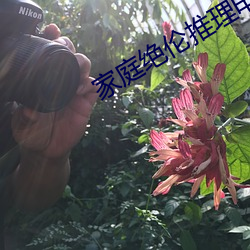 家庭绝伦推理电影2022