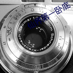 仙界第一卧(wò)底